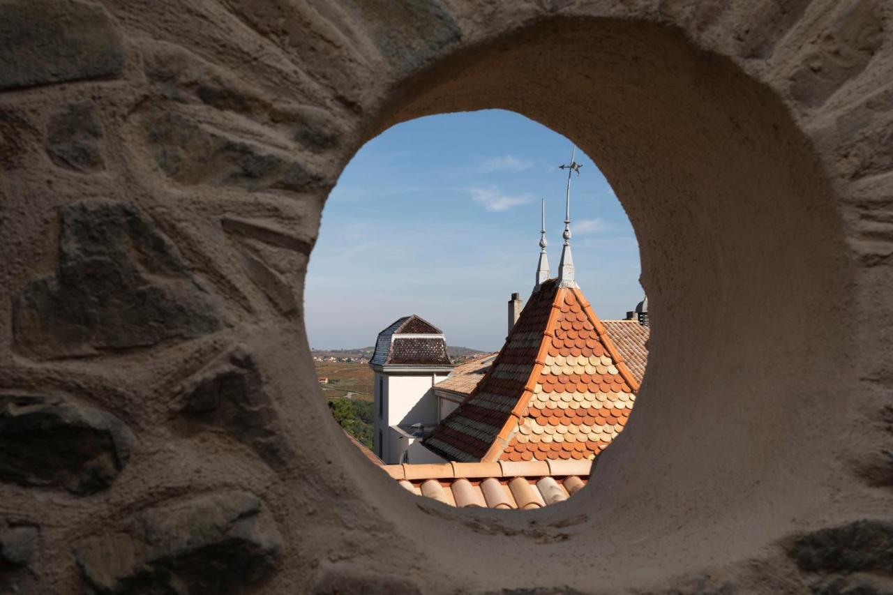 Chateau Du Souzy Quincié-en-Beaujolais Exteriör bild